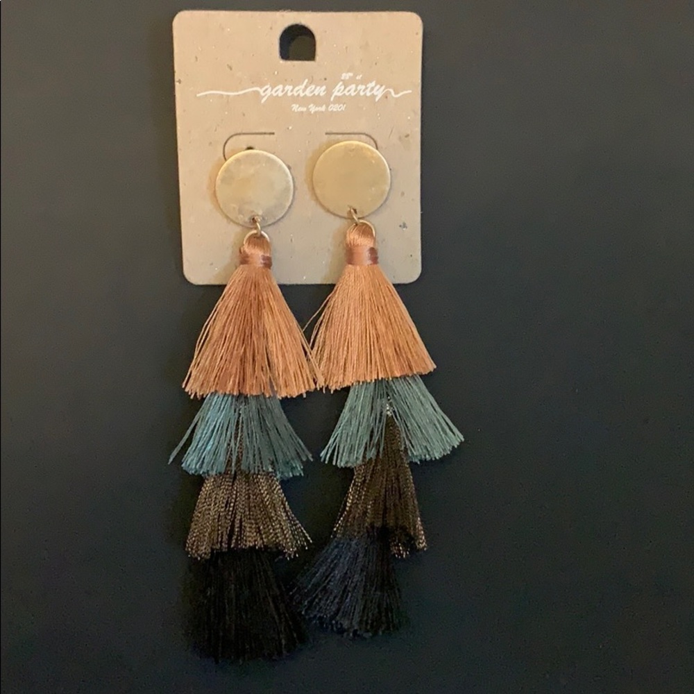 Multi Color Tassels Earrings